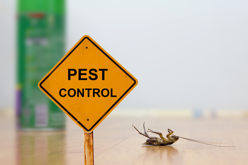 Gainesville Pest Control