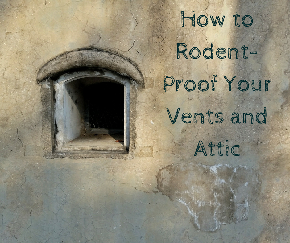 How to Rodent-Proof Your Vents and Attic